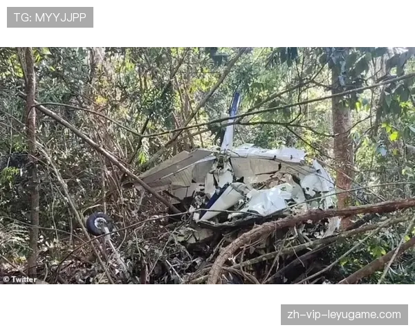 北大教授巴西坠机身亡，警方通报详情，北大教授巴西坠机身亡,警方通报详情